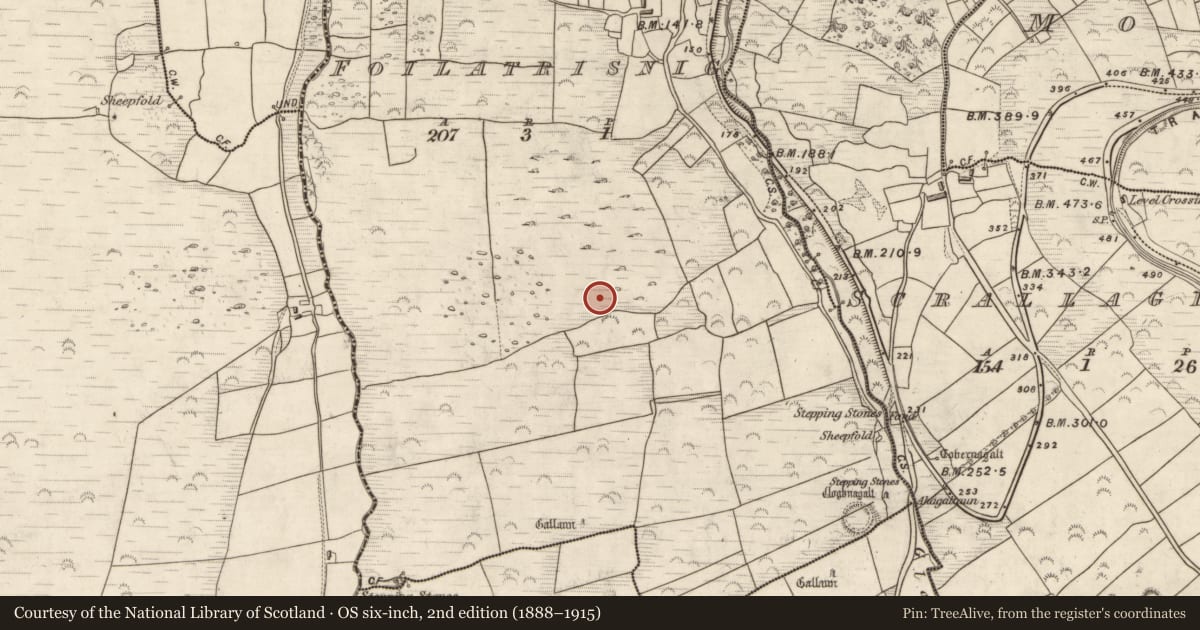 Ordnance Survey six-inch map, 2nd edition (1888–1915) covering the location of Hut site, Foilatrisnig, County Kerry, with a pin at the register's coordinates