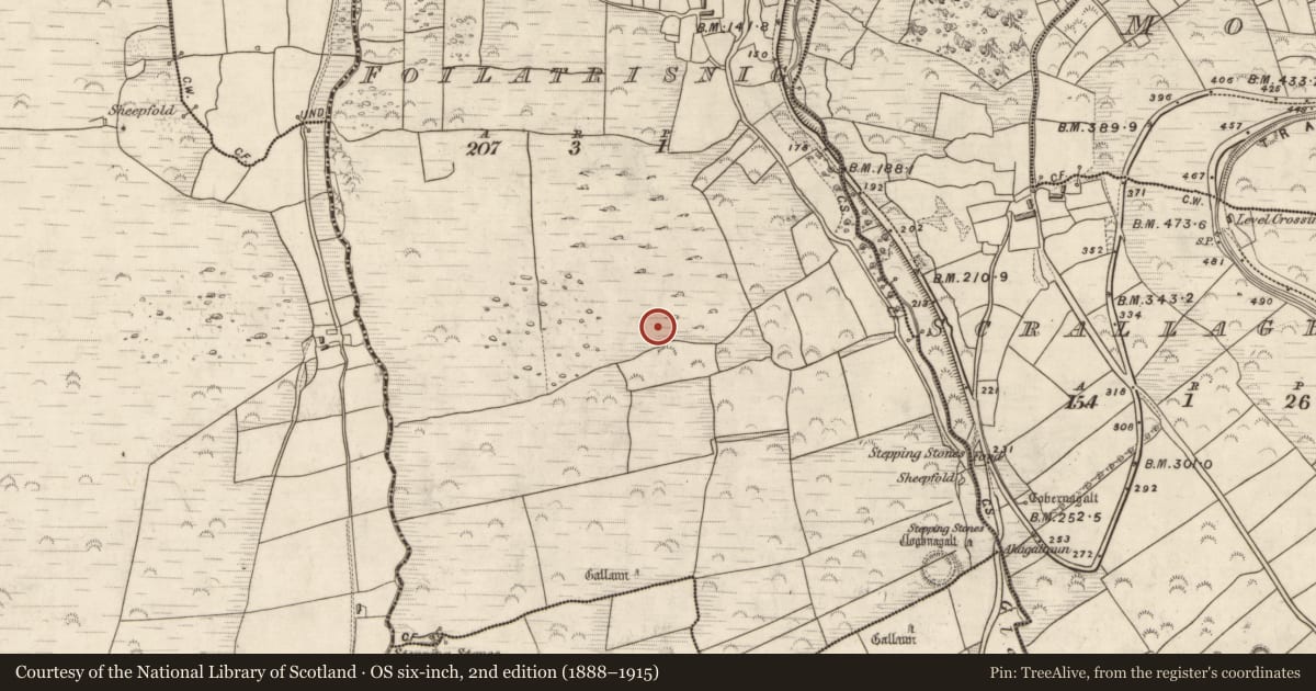 Ordnance Survey six-inch map, 2nd edition (1888–1915) covering the location of Hut site, Foilatrisnig, County Kerry, with a pin at the register's coordinates