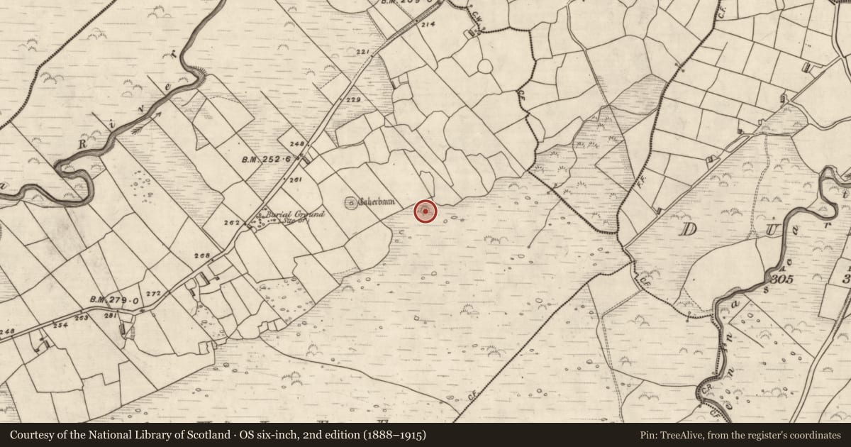 Ordnance Survey six-inch map, 2nd edition (1888–1915) covering the location of Fulacht fia, Coill Bhaile Uí Fhlaithimh, County Kerry, with a pin at the register's coordinates