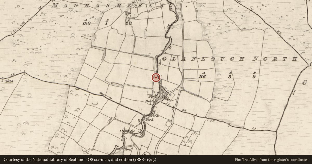 Ordnance Survey six-inch map, 2nd edition (1888–1915) covering the location of Fulacht fia, Maghasheela, County Kerry, with a pin at the register's coordinates