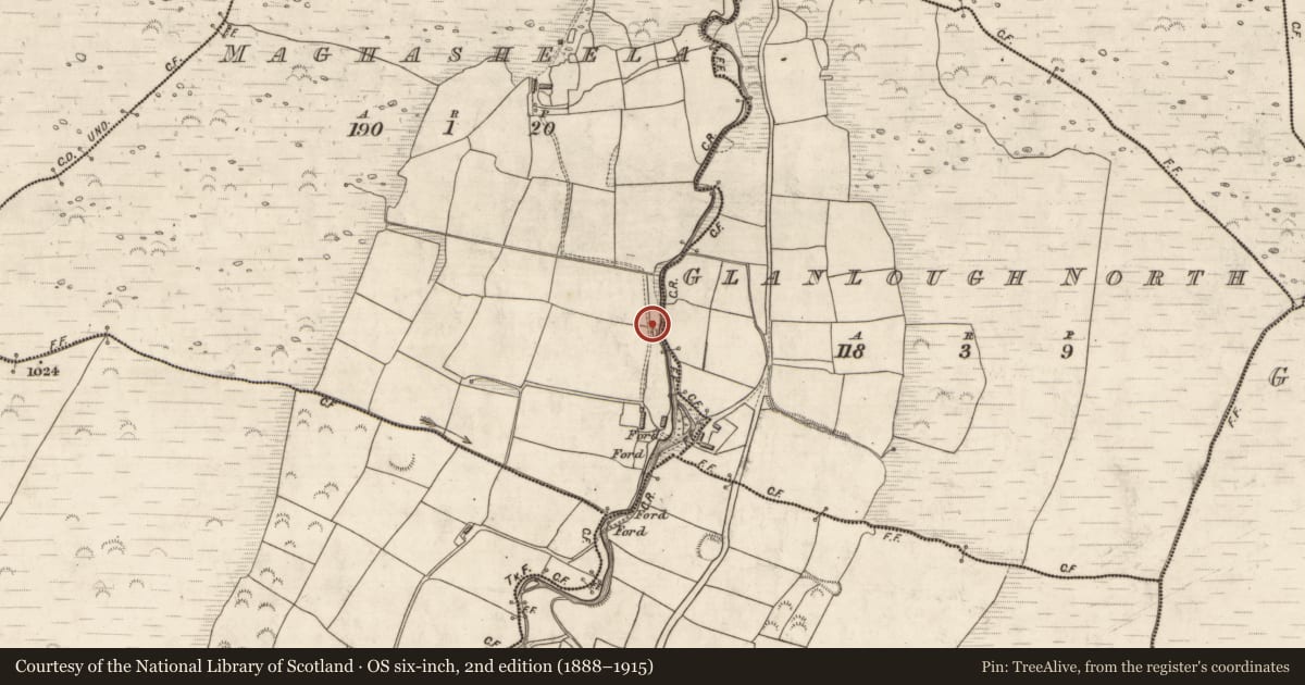 Ordnance Survey six-inch map, 2nd edition (1888–1915) covering the location of Fulacht fia, Maghasheela, County Kerry, with a pin at the register's coordinates