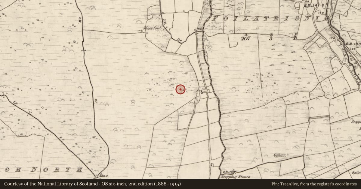 Ordnance Survey six-inch map, 2nd edition (1888–1915) covering the location of Enclosure, Glanmane, County Kerry, with a pin at the register's coordinates