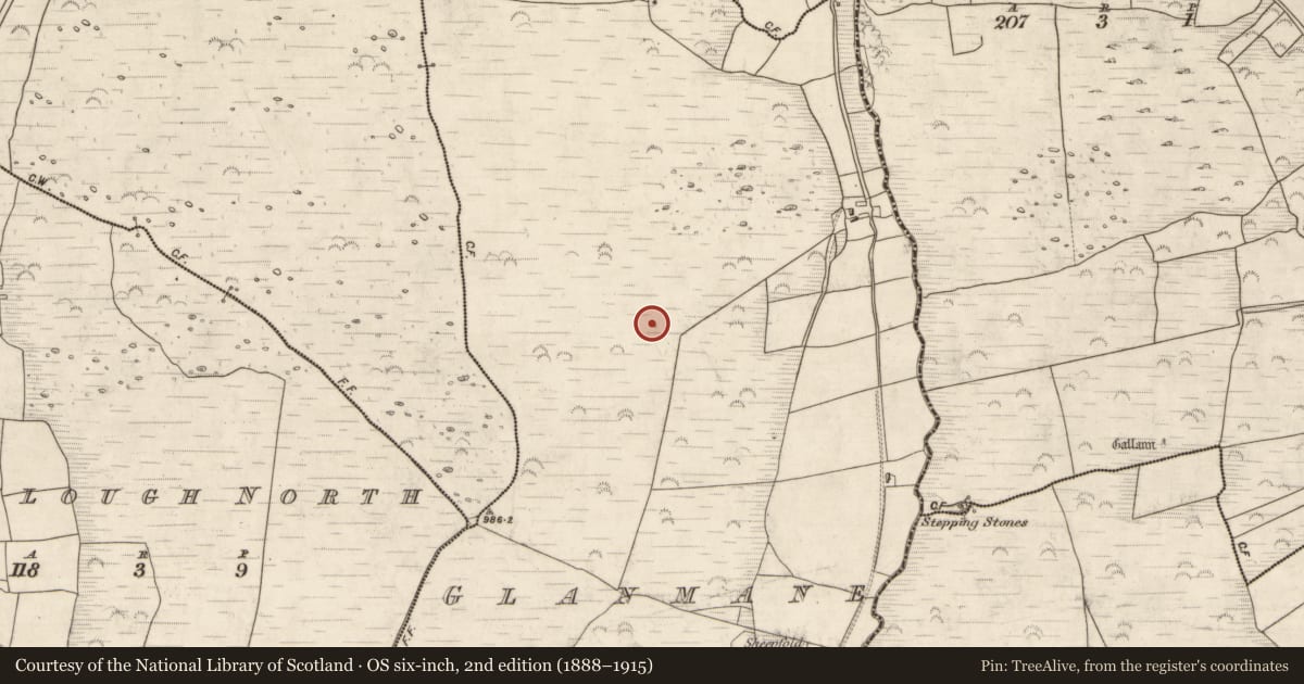 Ordnance Survey six-inch map, 2nd edition (1888–1915) covering the location of Field system, Glanmane, County Kerry, with a pin at the register's coordinates