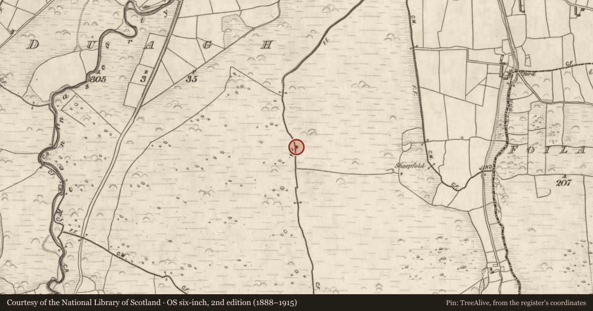 Ordnance Survey six-inch map, 2nd edition (1888–1915) covering the location of Hut site, Glanmane, County Kerry, with a pin at the register's coordinates