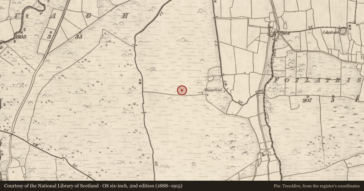 Ordnance Survey six-inch map, 2nd edition (1888–1915) covering the location of Hut site, Glanmane, County Kerry, with a pin at the register's coordinates