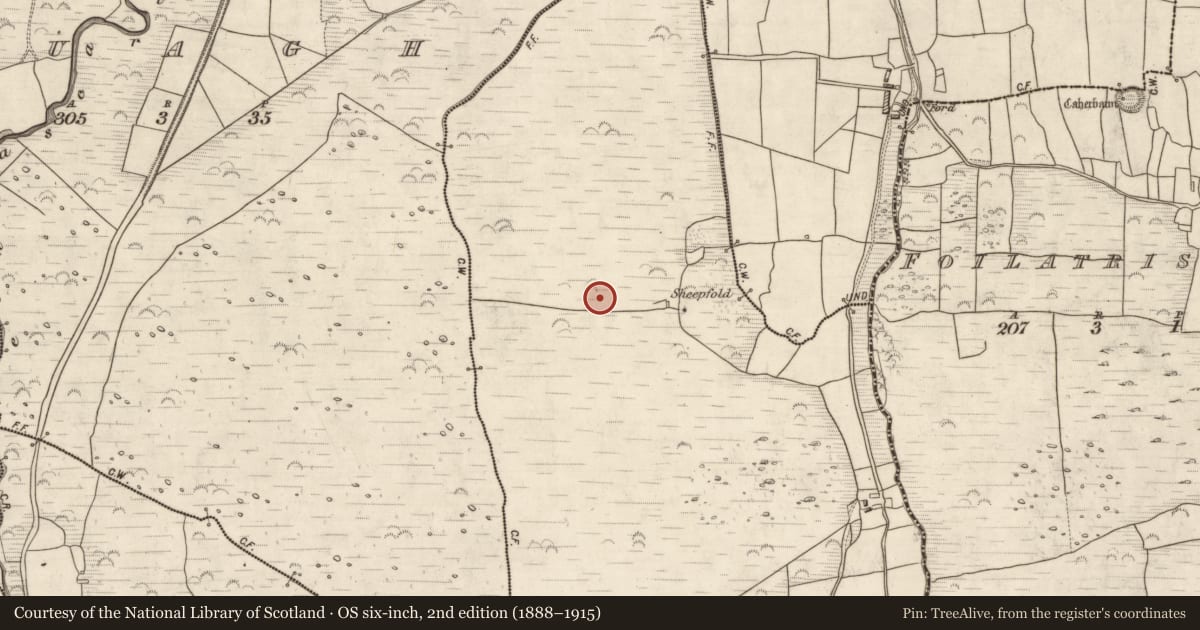 Ordnance Survey six-inch map, 2nd edition (1888–1915) covering the location of Field system, Glanmane, County Kerry, with a pin at the register's coordinates
