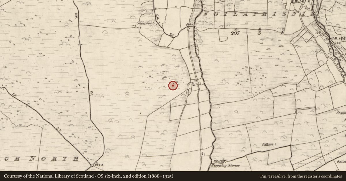Ordnance Survey six-inch map, 2nd edition (1888–1915) covering the location of Hut site, Glanmane, County Kerry, with a pin at the register's coordinates