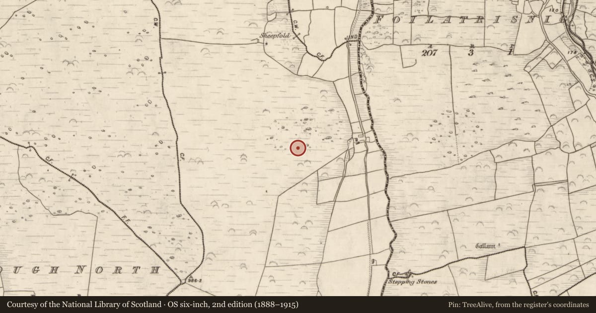 Ordnance Survey six-inch map, 2nd edition (1888–1915) covering the location of Hut site, Glanmane, County Kerry, with a pin at the register's coordinates