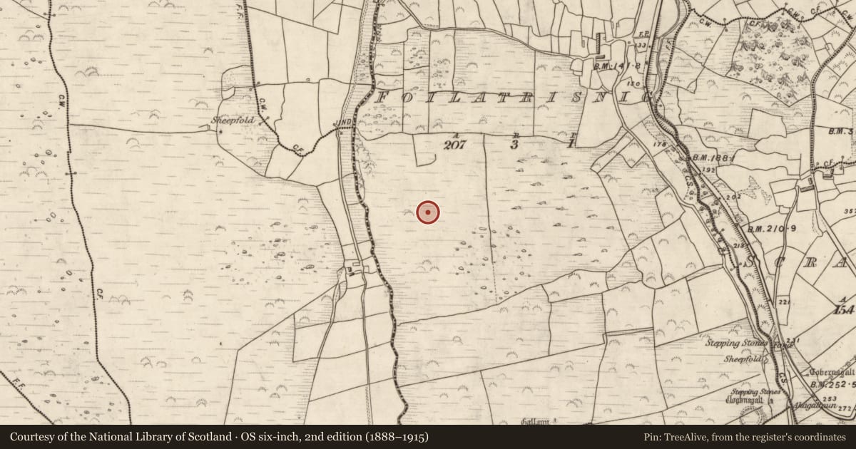 Ordnance Survey six-inch map, 2nd edition (1888–1915) covering the location of Enclosure, Foilatrisnig, County Kerry, with a pin at the register's coordinates