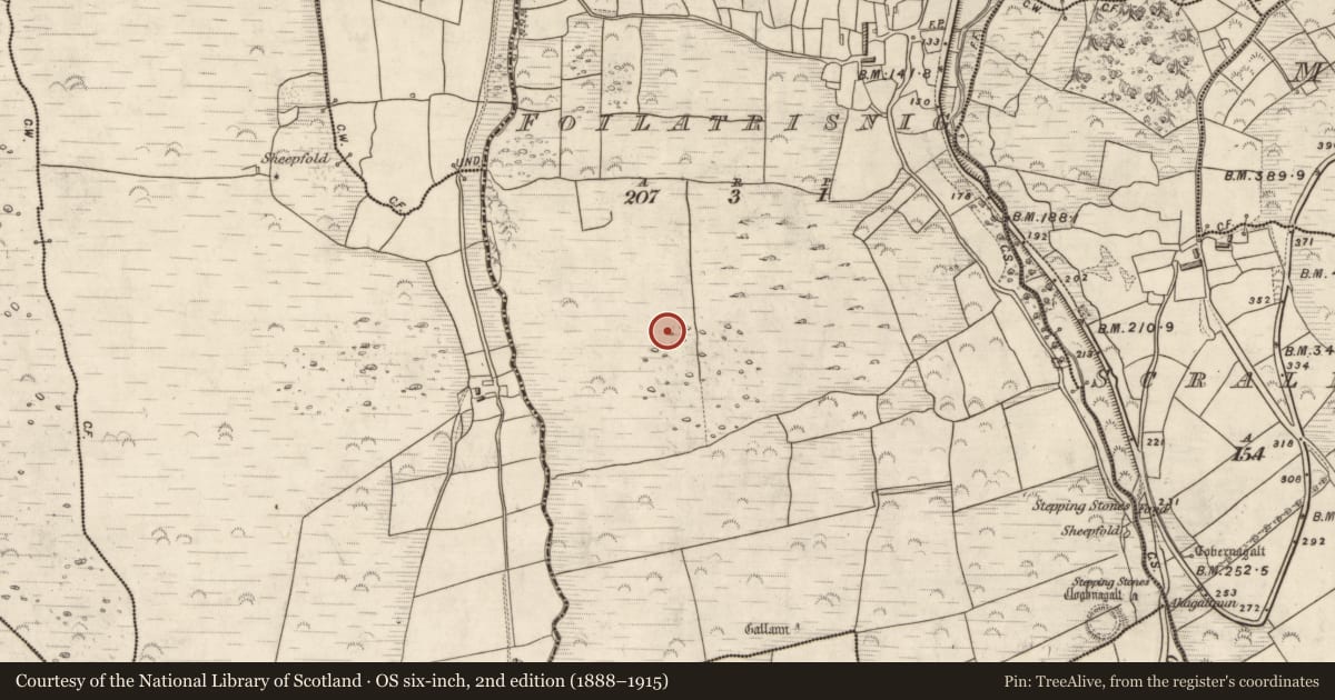 Ordnance Survey six-inch map, 2nd edition (1888–1915) covering the location of Hut site, Foilatrisnig, County Kerry, with a pin at the register's coordinates