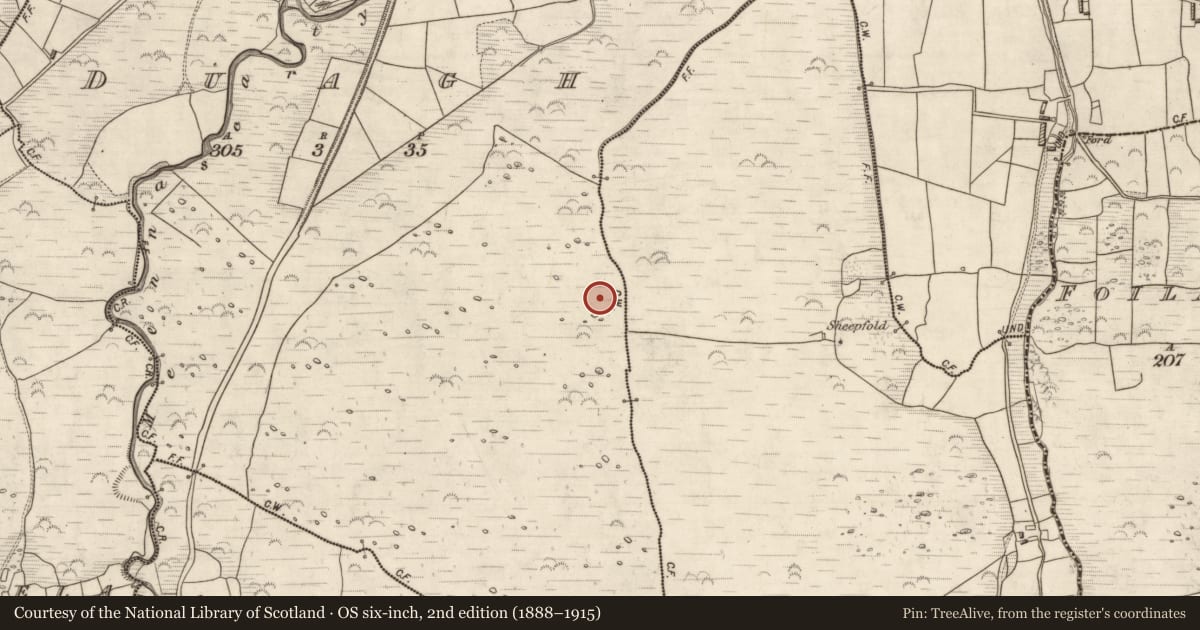 Ordnance Survey six-inch map, 2nd edition (1888–1915) covering the location of Clochan, Duagh, County Kerry, with a pin at the register's coordinates