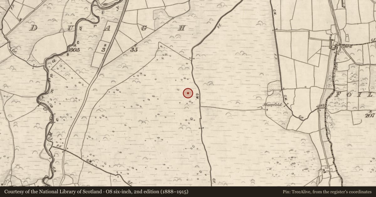 Ordnance Survey six-inch map, 2nd edition (1888–1915) covering the location of Hut site, Duagh, County Kerry, with a pin at the register's coordinates