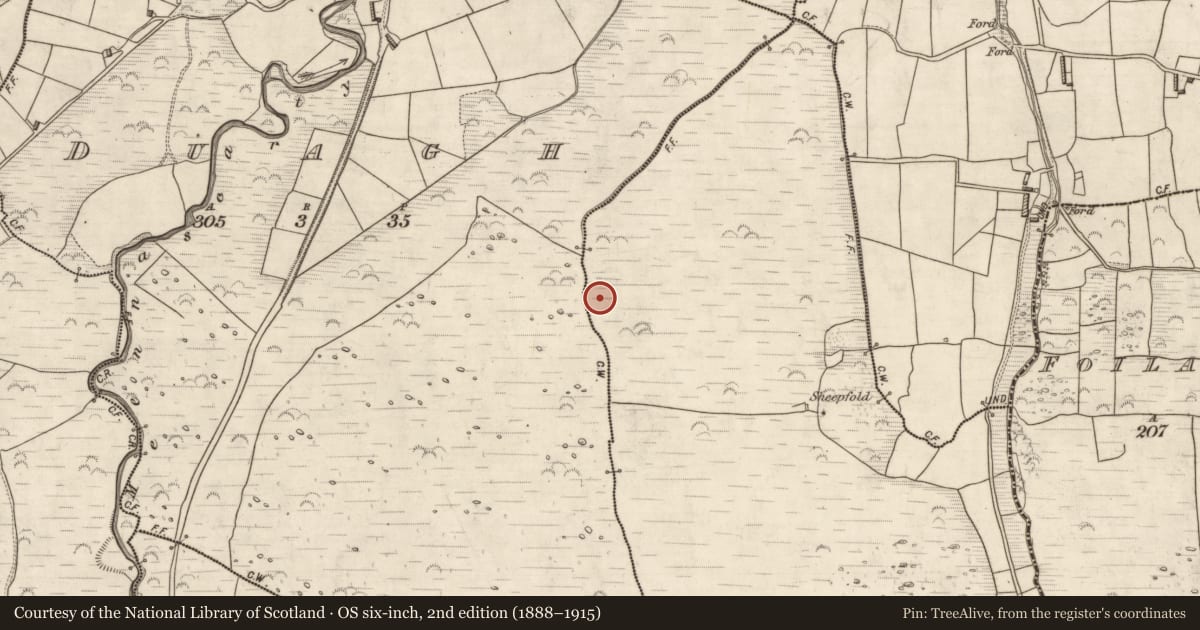 Ordnance Survey six-inch map, 2nd edition (1888–1915) covering the location of Cultivation ridges, Glanmane, County Kerry, with a pin at the register's coordinates
