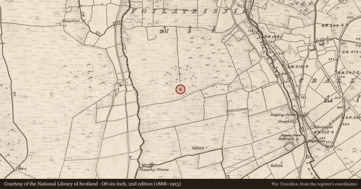 Ordnance Survey six-inch map, 2nd edition (1888–1915) covering the location of Standing stone, Foilatrisnig, County Kerry, with a pin at the register's coordinates