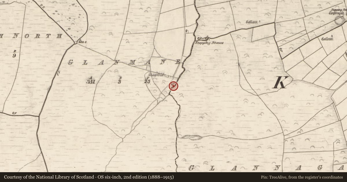 Ordnance Survey six-inch map, 2nd edition (1888–1915) covering the location of Structure, Glanmane, County Kerry, with a pin at the register's coordinates