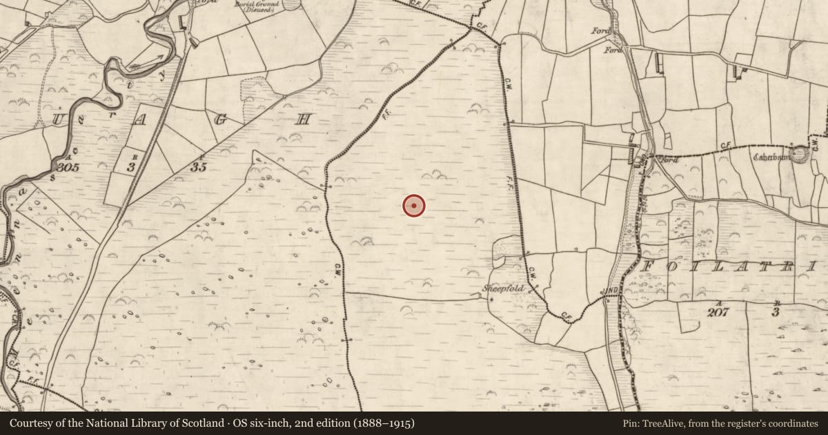 Ordnance Survey six-inch map, 2nd edition (1888–1915) covering the location of Field boundary, Glanmane, County Kerry, with a pin at the register's coordinates