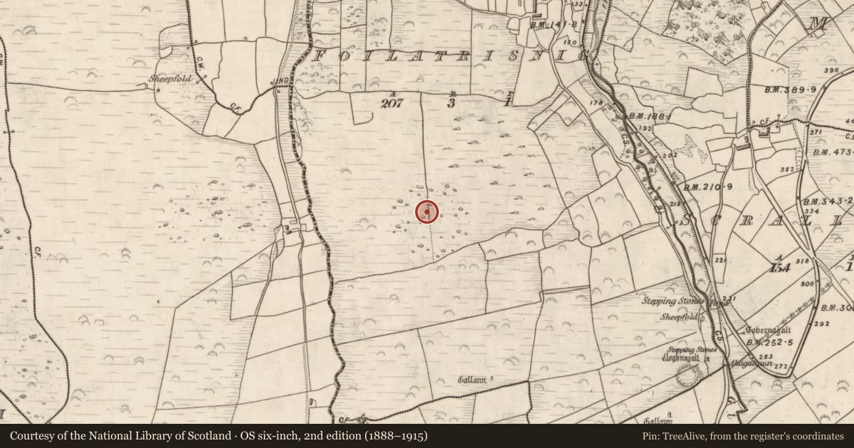 Ordnance Survey six-inch map, 2nd edition (1888–1915) covering the location of Standing stone, Foilatrisnig, County Kerry, with a pin at the register's coordinates