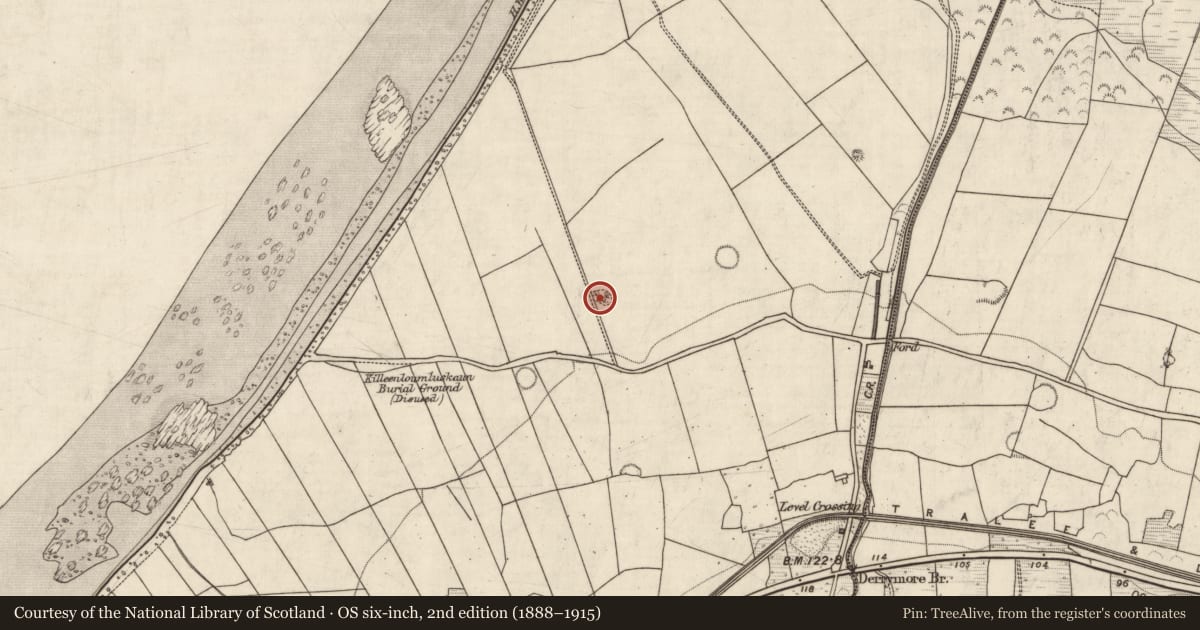 Ordnance Survey six-inch map, 2nd edition (1888–1915) covering the location of Ringfort - rath, Doire Mhór Thiar, County Kerry, with a pin at the register's coordinates