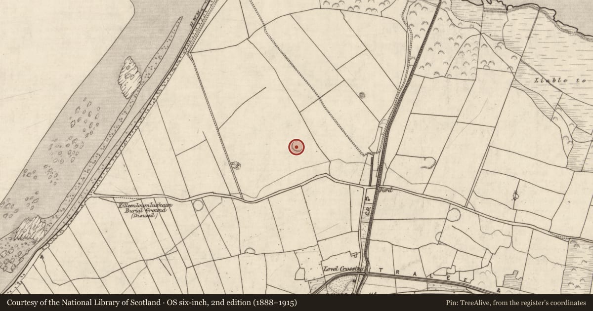 Ordnance Survey six-inch map, 2nd edition (1888–1915) covering the location of Ringfort - rath, Doire Mhór Thiar, County Kerry, with a pin at the register's coordinates