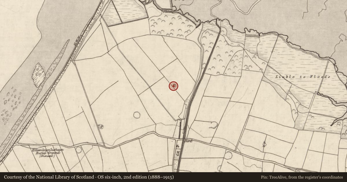 Ordnance Survey six-inch map, 2nd edition (1888–1915) covering the location of Ringfort - rath, Doire Mhór Thiar, County Kerry, with a pin at the register's coordinates