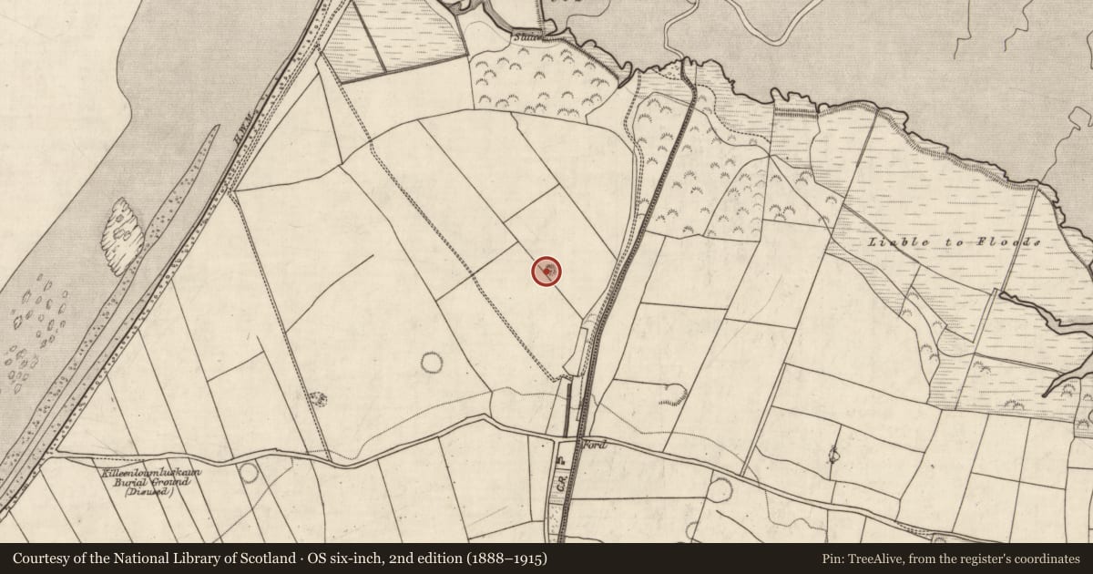 Ordnance Survey six-inch map, 2nd edition (1888–1915) covering the location of Hut site, Doire Mhór Thiar, County Kerry, with a pin at the register's coordinates