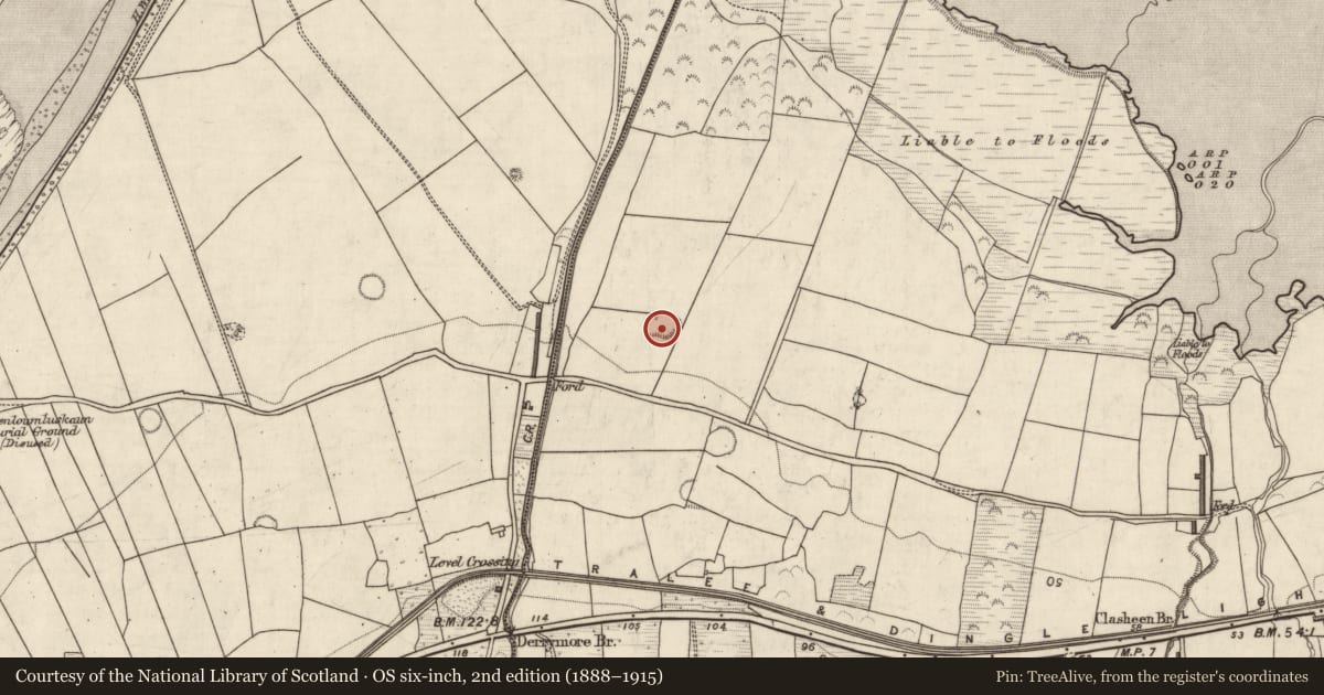 Ordnance Survey six-inch map, 2nd edition (1888–1915) covering the location of Ringfort - rath, Doire Mhór Thoir, County Kerry, with a pin at the register's coordinates