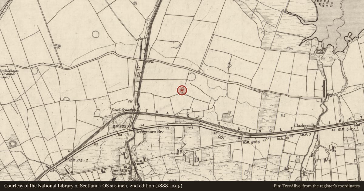 Ordnance Survey six-inch map, 2nd edition (1888–1915) covering the location of Ringfort - rath, Doire Mhór Thoir, County Kerry, with a pin at the register's coordinates