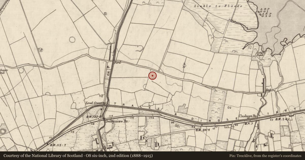 Ordnance Survey six-inch map, 2nd edition (1888–1915) covering the location of Ringfort - rath, Doire Mhór Thoir, County Kerry, with a pin at the register's coordinates