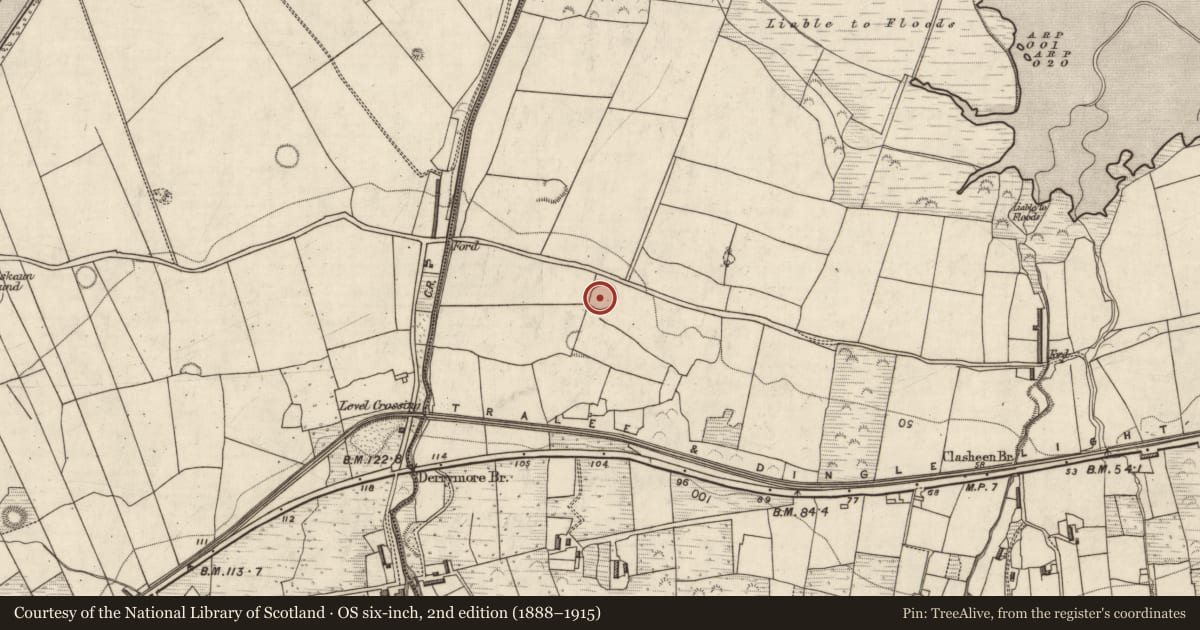 Ordnance Survey six-inch map, 2nd edition (1888–1915) covering the location of Souterrain, Doire Mhór Thoir, County Kerry, with a pin at the register's coordinates