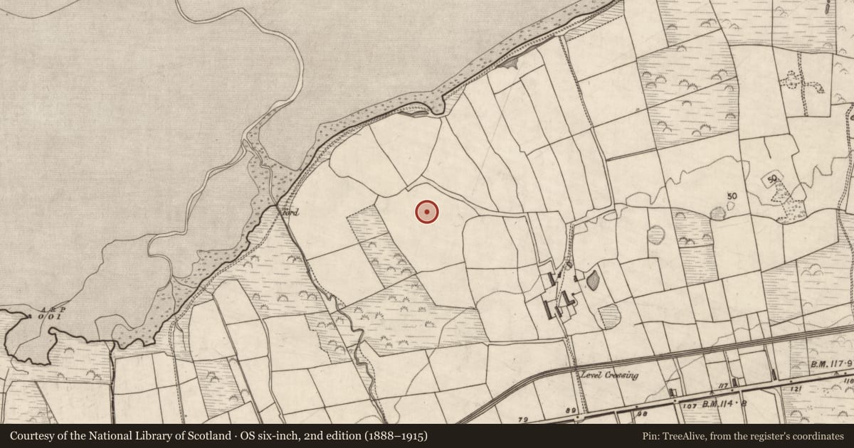 Ordnance Survey six-inch map, 2nd edition (1888–1915) covering the location of Ringfort - rath, Curraheen, County Kerry, with a pin at the register's coordinates