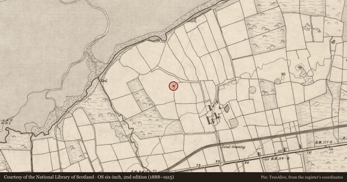 Ordnance Survey six-inch map, 2nd edition (1888–1915) covering the location of Ringfort - rath, Curraheen, County Kerry, with a pin at the register's coordinates