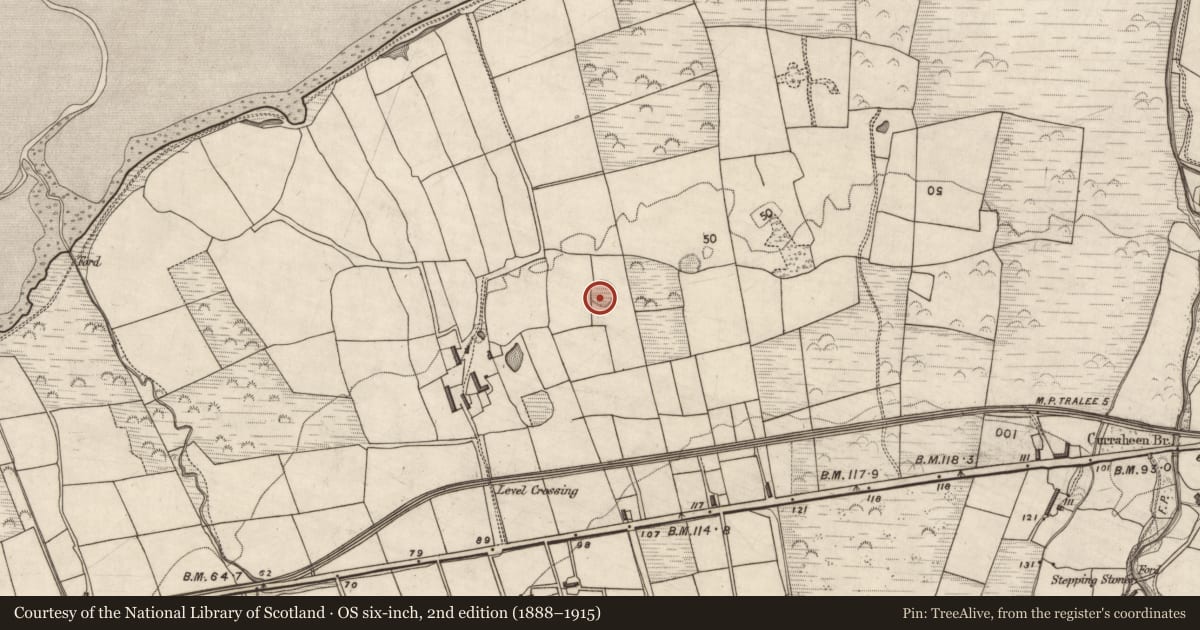 Ordnance Survey six-inch map, 2nd edition (1888–1915) covering the location of Enclosure, Curraheen, County Kerry, with a pin at the register's coordinates