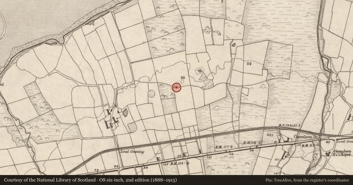 Ordnance Survey six-inch map, 2nd edition (1888–1915) covering the location of Ringfort - rath, Curraheen, County Kerry, with a pin at the register's coordinates