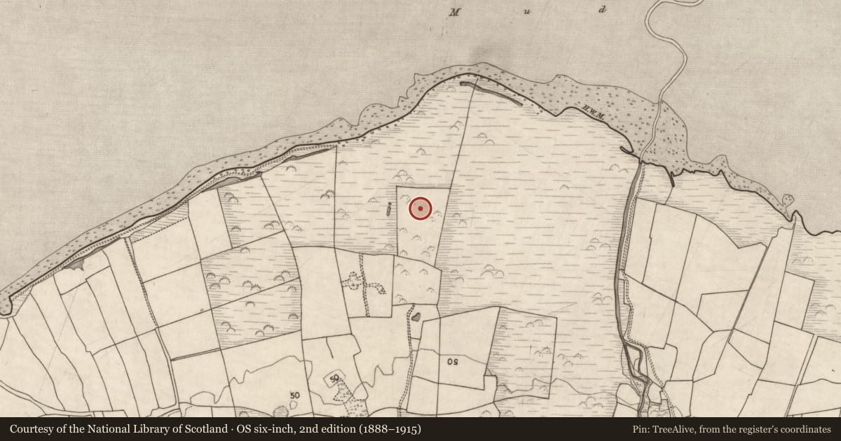 Ordnance Survey six-inch map, 2nd edition (1888–1915) covering the location of Ringfort - rath, Curraheen, County Kerry, with a pin at the register's coordinates