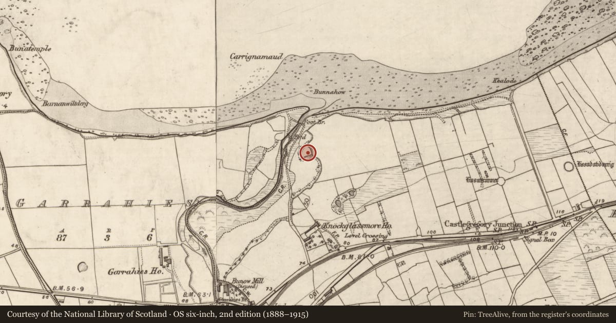 Ordnance Survey six-inch map, 2nd edition (1888–1915) covering the location of Promontory fort - coastal, Knockglass More, County Kerry, with a pin at the register's coordinates