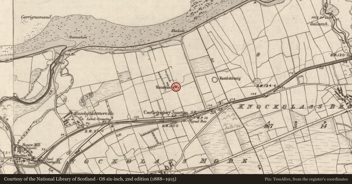 Ordnance Survey six-inch map, 2nd edition (1888–1915) covering the location of Ringfort - cashel, Knockglass More, County Kerry, with a pin at the register's coordinates