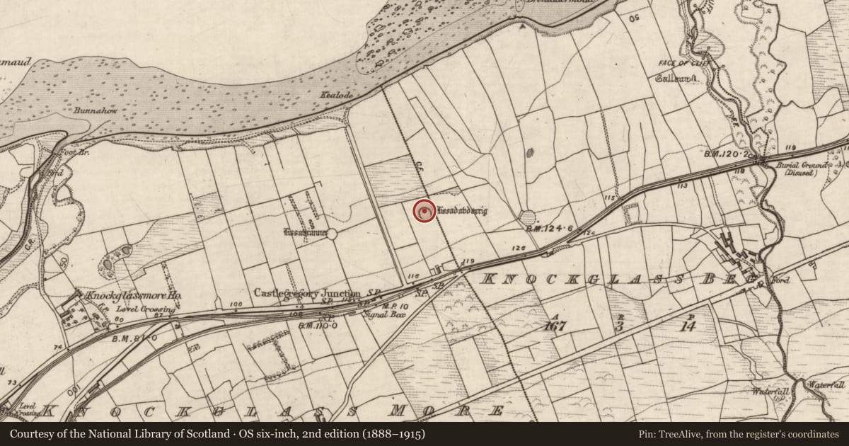 Ordnance Survey six-inch map, 2nd edition (1888–1915) covering the location of Ringfort - cashel, Knockglass Beg, Knockglass More, County Kerry, with a pin at the register's coordinates
