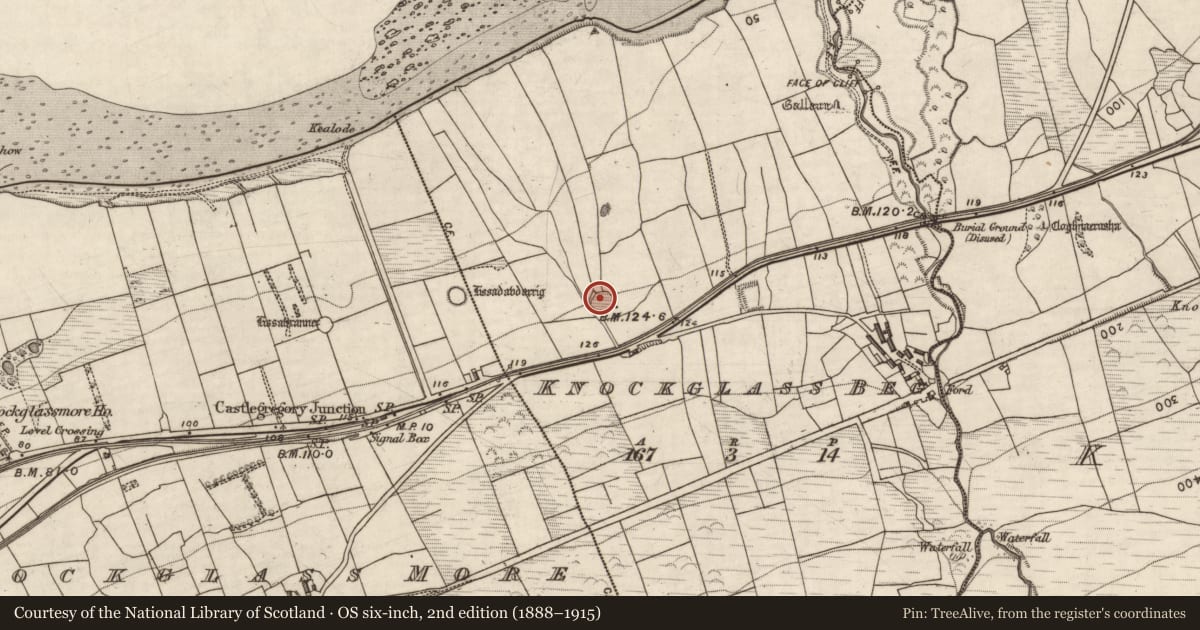 Ordnance Survey six-inch map, 2nd edition (1888–1915) covering the location of Ringfort - rath, Knockglass Beg, County Kerry, with a pin at the register's coordinates