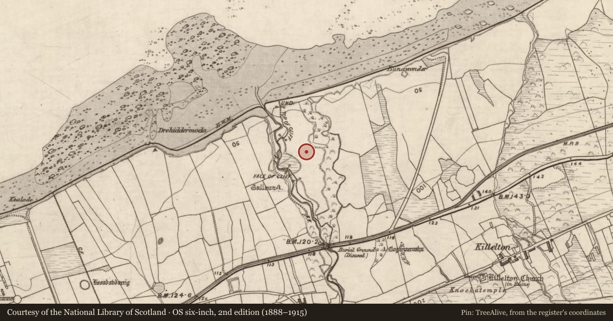 Ordnance Survey six-inch map, 2nd edition (1888–1915) covering the location of Ringfort - rath, Killelton, County Kerry, with a pin at the register's coordinates