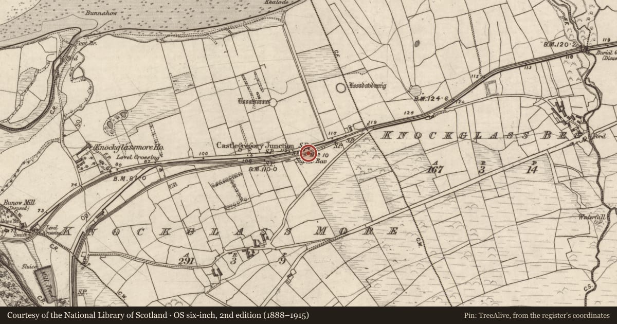 Ordnance Survey six-inch map, 2nd edition (1888–1915) covering the location of Rock art (present location), Knockglass More, County Kerry, with a pin at the register's coordinates