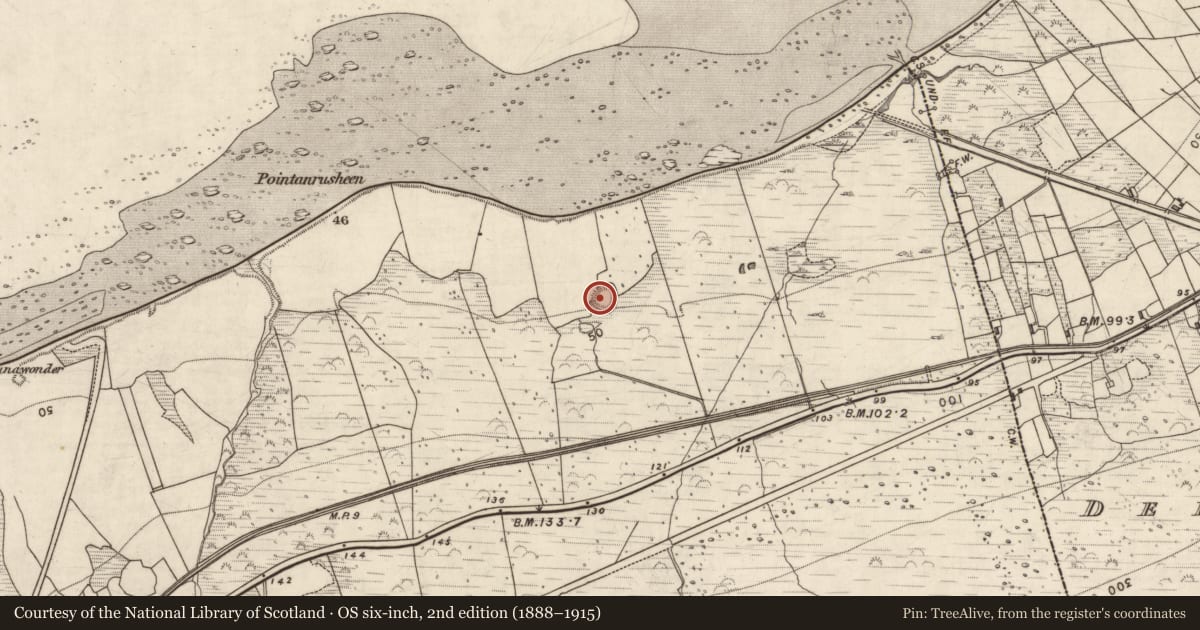 Ordnance Survey six-inch map, 2nd edition (1888–1915) covering the location of Ringfort - rath, Killelton, County Kerry, with a pin at the register's coordinates
