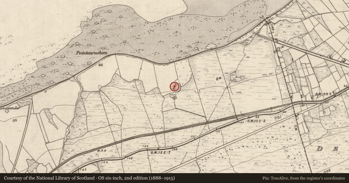 Ordnance Survey six-inch map, 2nd edition (1888–1915) covering the location of Hut site, Killelton, County Kerry, with a pin at the register's coordinates