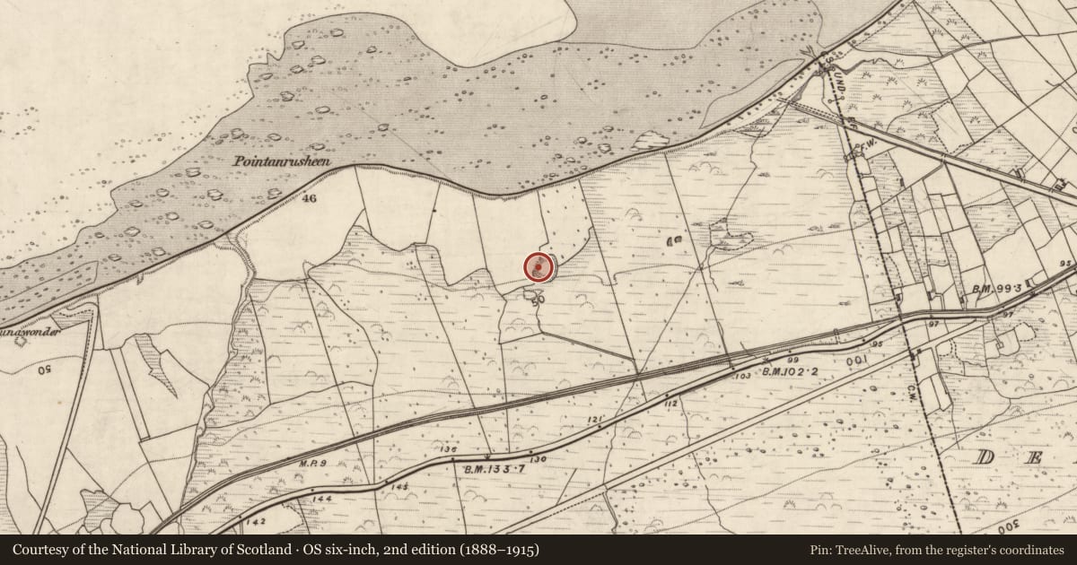 Ordnance Survey six-inch map, 2nd edition (1888–1915) covering the location of Hut site, Killelton, County Kerry, with a pin at the register's coordinates