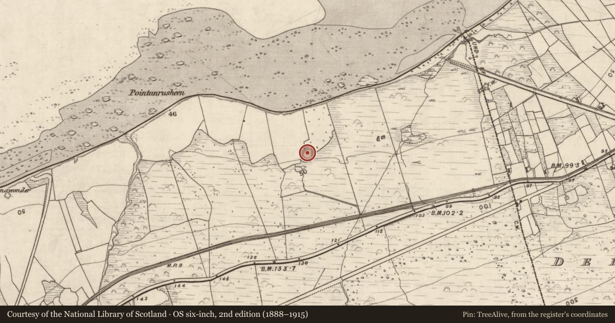 Ordnance Survey six-inch map, 2nd edition (1888–1915) covering the location of Hut site, Killelton, County Kerry, with a pin at the register's coordinates