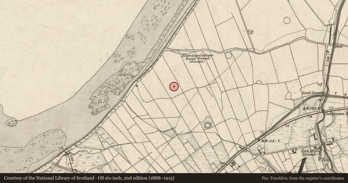 Ordnance Survey six-inch map, 2nd edition (1888–1915) covering the location of Souterrain, Doire Mhór Thiar, County Kerry, with a pin at the register's coordinates