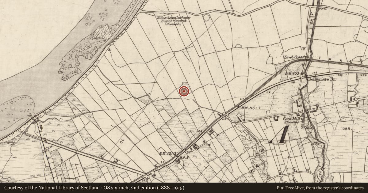 Ordnance Survey six-inch map, 2nd edition (1888–1915) covering the location of Ringfort - rath, Doire Mhór Thiar, County Kerry, with a pin at the register's coordinates
