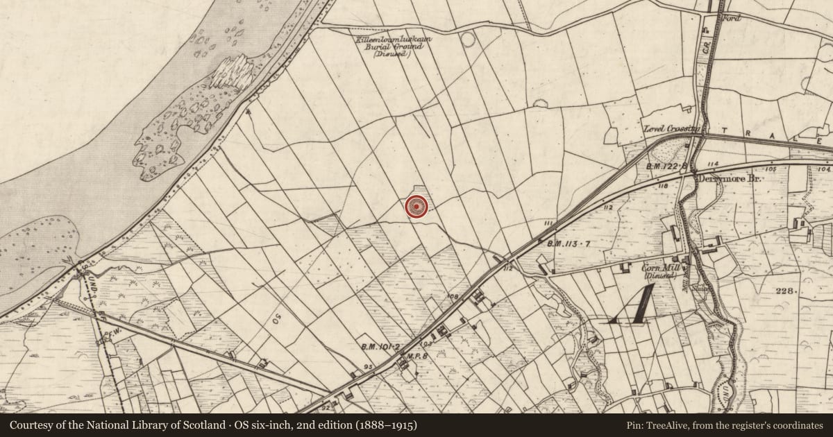 Ordnance Survey six-inch map, 2nd edition (1888–1915) covering the location of Hut site, Doire Mhór Thiar, County Kerry, with a pin at the register's coordinates