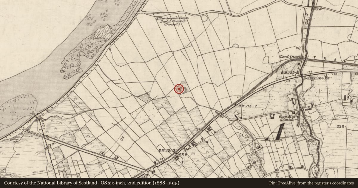 Ordnance Survey six-inch map, 2nd edition (1888–1915) covering the location of Hut site, Doire Mhór Thiar, County Kerry, with a pin at the register's coordinates