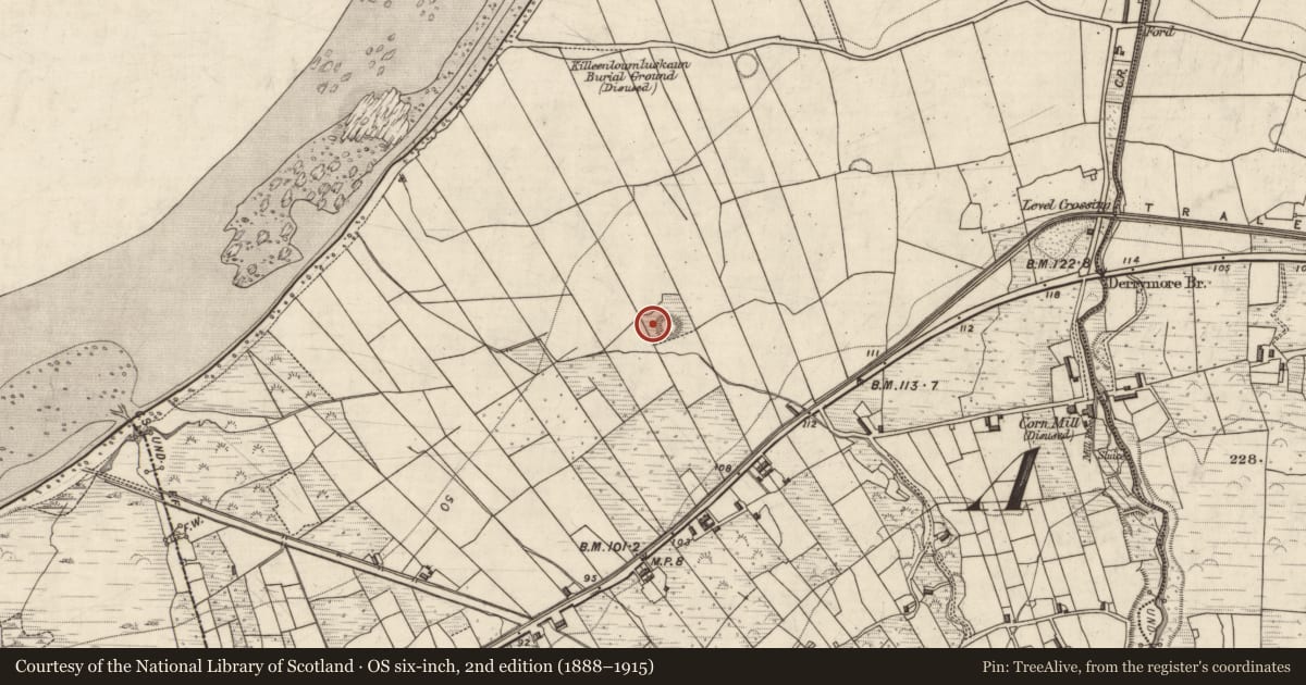 Ordnance Survey six-inch map, 2nd edition (1888–1915) covering the location of Hut site, Doire Mhór Thiar, County Kerry, with a pin at the register's coordinates