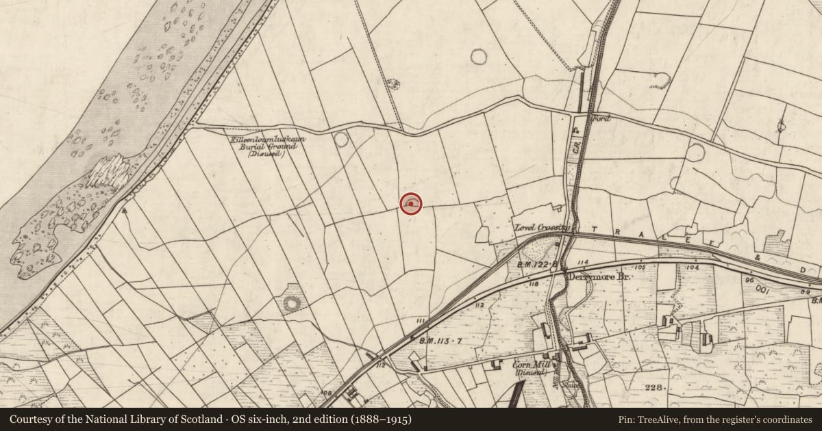Ordnance Survey six-inch map, 2nd edition (1888–1915) covering the location of Ringfort - rath, Doire Mhór Thiar, County Kerry, with a pin at the register's coordinates